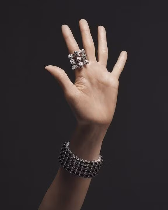 Lily Collins: Nàng thơ mới của Cartier ảnh 5