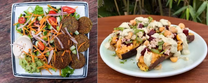 Nhà hàng ngon ở Hội An: Veggie Hut