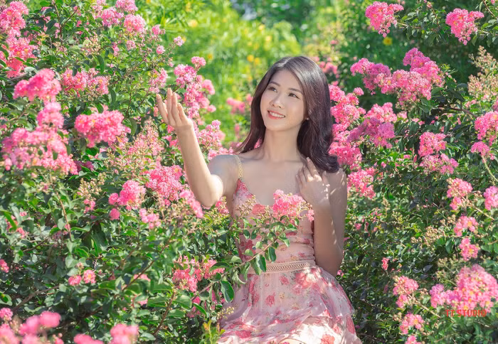Mê mẩn đường hoa tường vi, đẹp tựa vườn thượng uyển ở trời Âu - 1