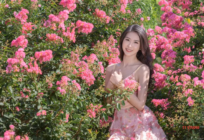 Mê mẩn đường hoa tường vi, đẹp tựa vườn thượng uyển ở trời Âu - 2