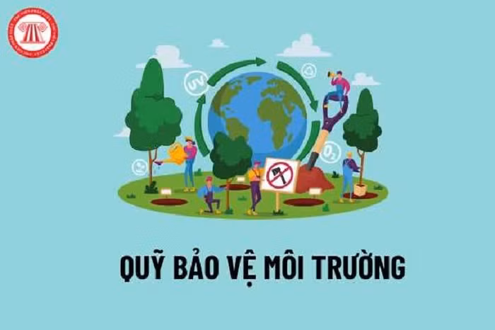 hình ảnh về Quỹ bảo vệ môi trường Việt Nam