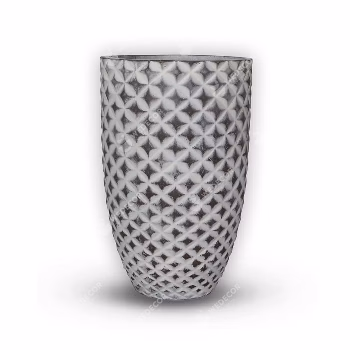 7 loại cây cảnh cực dễ chăm dành cho người mới trồng ảnh 4