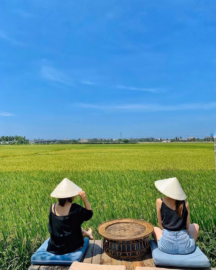 Check-in 2 tiệm cà phê 'view đồng lúa' mãn nhãn ở Hội An - 5