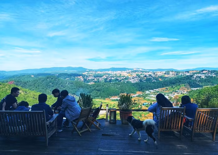 4 quán cà phê ẩn trong rừng Đà Lạt - 7