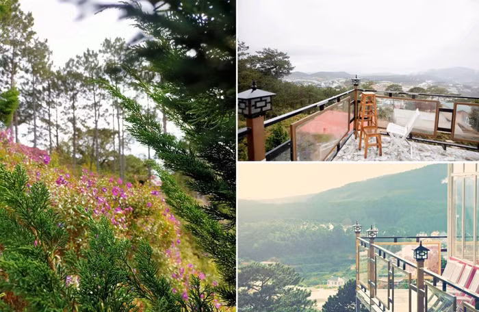 nhà hàng ngon ở Đà Lạt: Trên Đỉnh Đồi Trăng