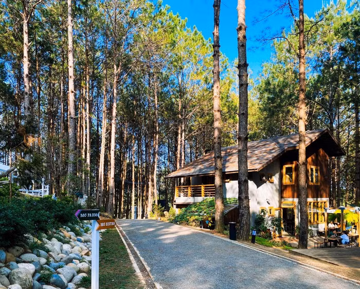 nhà hàng non ở Đà Lạt: Rừng Thông Mơ Farm & Bistro