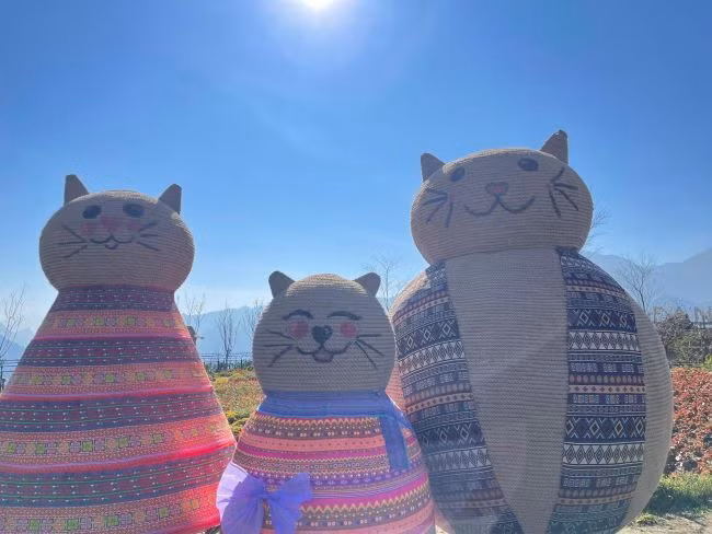 Từ Sa Pa, Đà Nẵng đến Tây Ninh, Phú Quốc, ngập tràn niềm vui du xuân ảnh 1