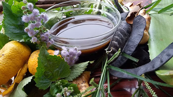 Tự làm dầu gội đầu từ thiên nhiên đơn giản tại nhà