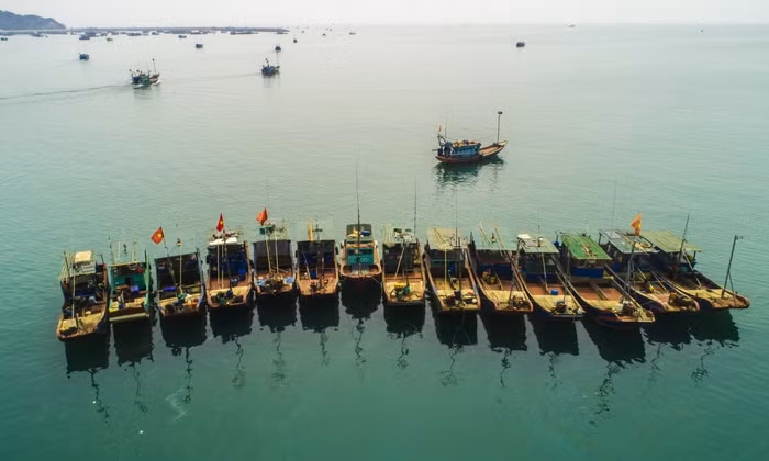 Đến Cô Tô dệt nên chuyện tình với đảo - 7