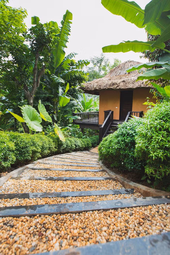 phong bauhinia avana retreat mai chau