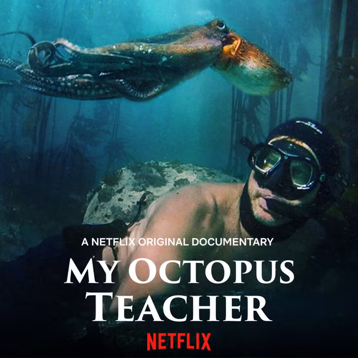 Những bộ phim Netflix sẽ làm thay đổi nhận thức của bạn về Trái Đất - 7