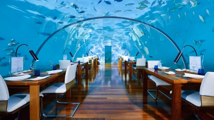 10 khách sạn dưới nước mang đến trải nghiệm "đáng nhớ nhất trong đời" ảnh 2