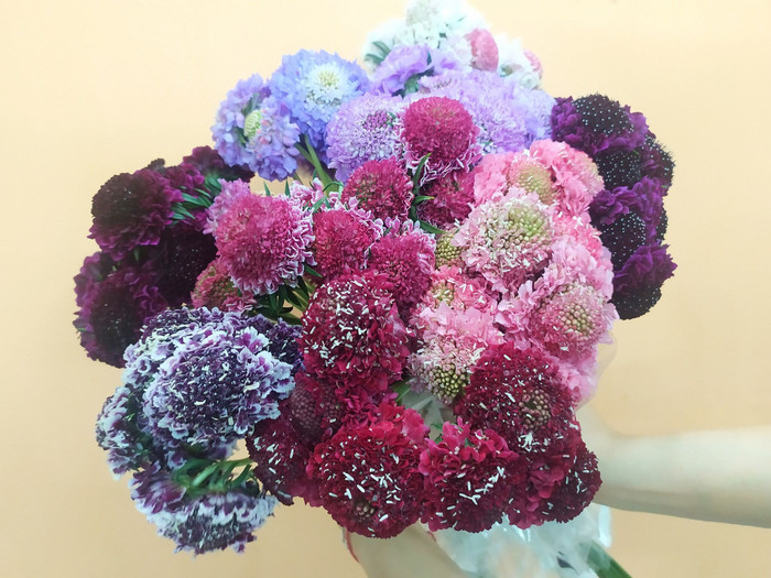 Điểm mặt 9 tiệm hoa tươi nhập khẩu nổi tiếng tại Hà Nội ảnh 9 166620109_3845490658905863_2721507783673201274_n.jpg