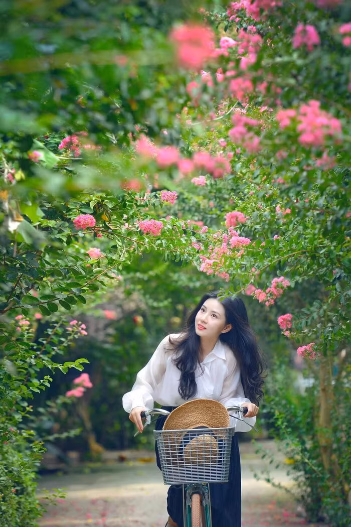 Mê mẩn đường hoa tường vi, đẹp tựa vườn thượng uyển ở trời Âu - 14
