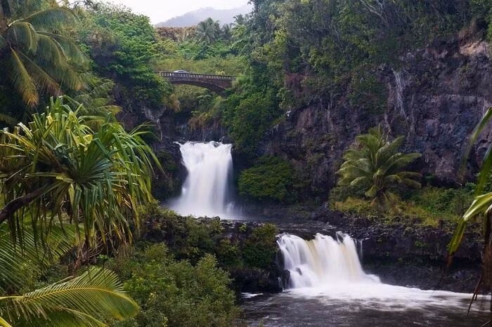 maui