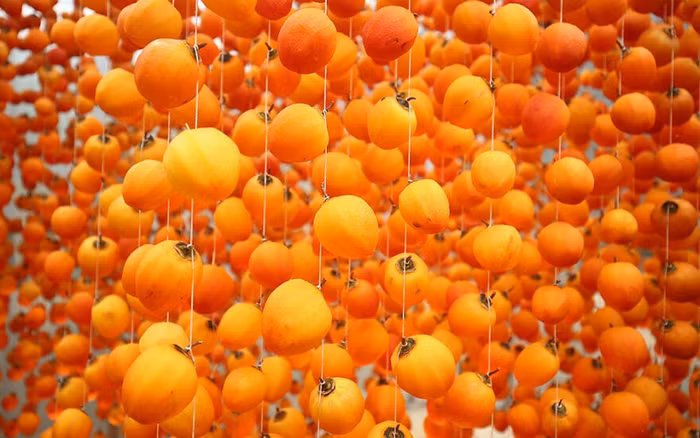 Kỳ công như làm hồng treo gió Đà Lạt - Kênh truyền hình Đài Tiếng nói Việt Nam - VOVTV