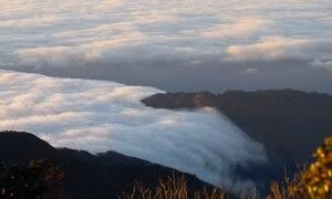 Xuyên rừng nguyên sinh khám phá đỉnh núi mới ở Tà Xùa ảnh 2