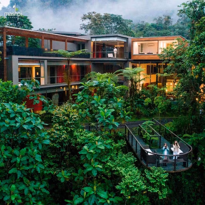 Mashpi Lodge, Ecuador thân thiện với môi trường