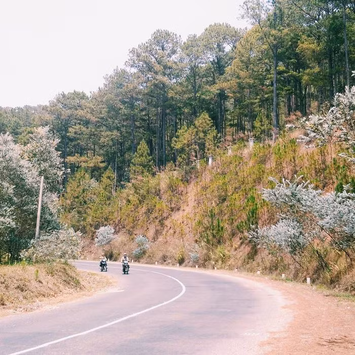 Top 5 cung đường đèo đẹp nhất ở Việt Nam