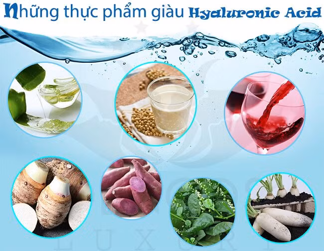 Thực phẩm chứa acid hyaluronic