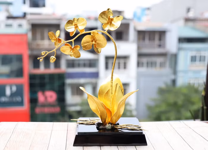 Một chậu hoa lan hồ điệp mang đến vẻ đẹp kiêu sa, quý phái. Với những người Mẹ thích sưu tập hoa, những món quà này sẽ theo mãi bên mẹ bởi tuổi thọ của “những cành vàng” này là trường tồn và vĩnh cửu.