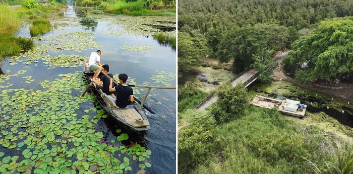 5 rừng tràm đẹp nhất miền Tây - 16