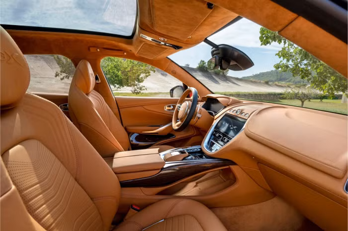 Chiếc Aston Martin DBX thứ hai về Việt Nam với màu sơn nổi bật ảnh 3