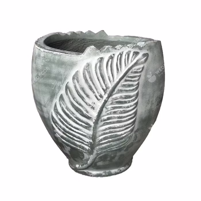 7 loại cây cảnh cực dễ chăm dành cho người mới trồng ảnh 2