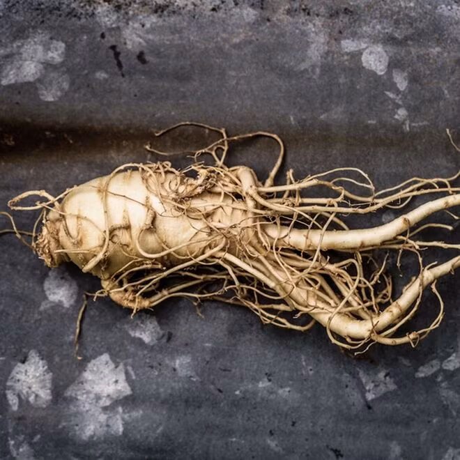 Dưỡng da với Hanbang