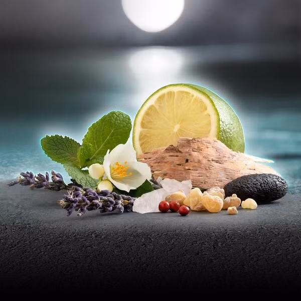 Mercedes-Benz Man Bright: Chất riêng của phái mạnh ảnh 2