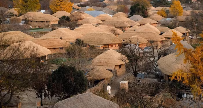 Làng cổ 700 năm và sự bảo tồn di sản xử sở Kim Chi ảnh 3