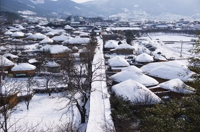 Làng cổ 700 năm và sự bảo tồn di sản xử sở Kim Chi ảnh 6