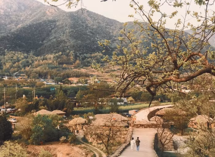 Làng cổ 700 năm và sự bảo tồn di sản xử sở Kim Chi ảnh 8