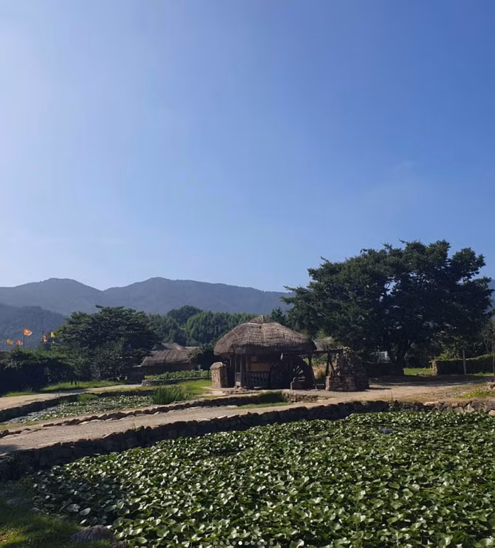 Làng cổ 700 năm và sự bảo tồn di sản xử sở Kim Chi ảnh 7