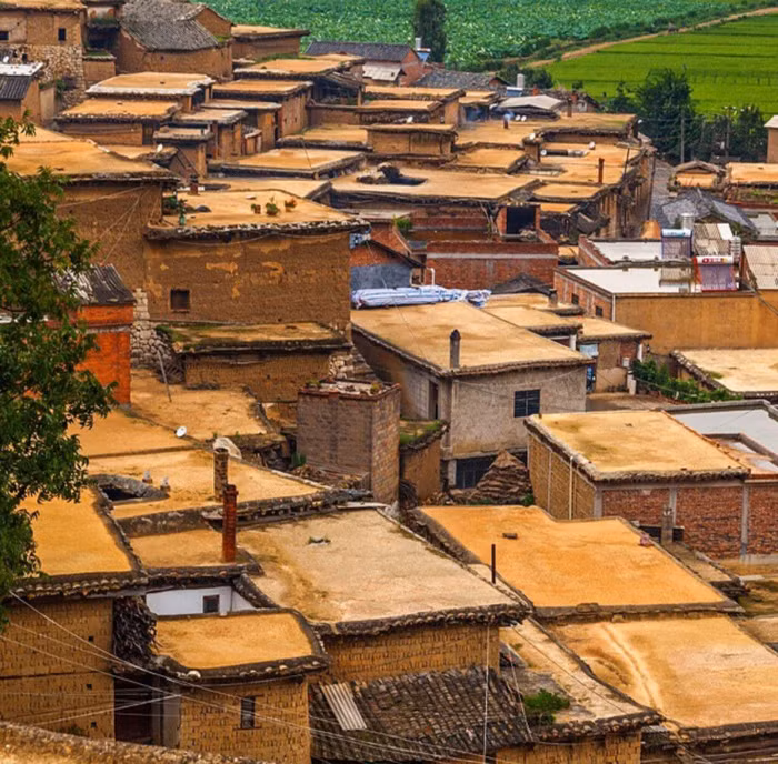 Lư Tây Thành Tử Trung Quốc