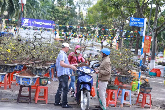 Đắk Lắk: Sắc Xuân rộn ràng trên mọi nẻo đường ảnh 7