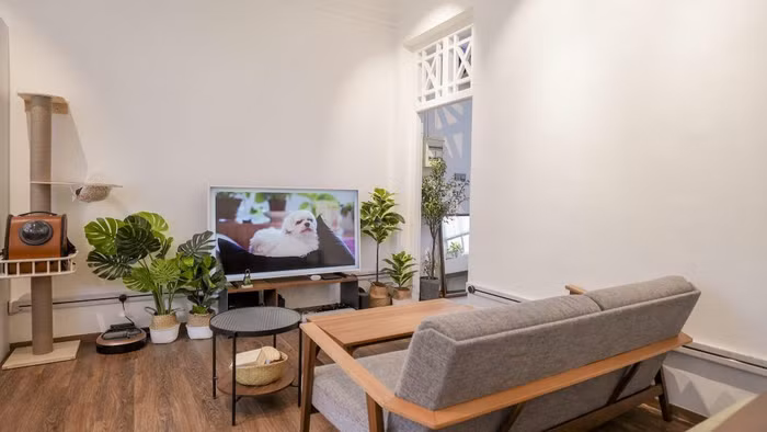 Không gian của cây và thú cưng cho những ngày giãn cách-8