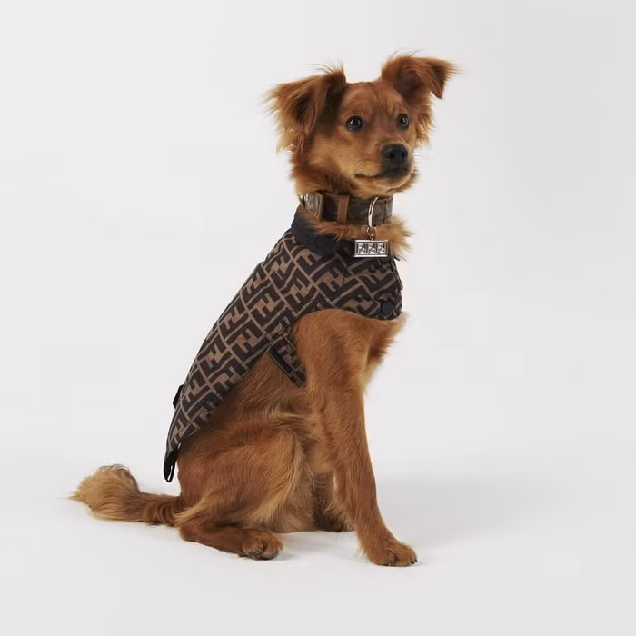Áo khoác cho chó của Fendi