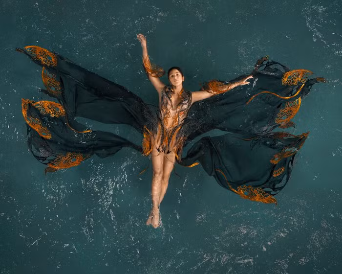 Iris van Herpen Haute Couture