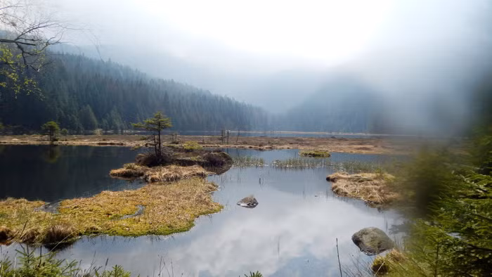 Khám phá xứ Bavaria: nước Đức những điều chưa biết - 5