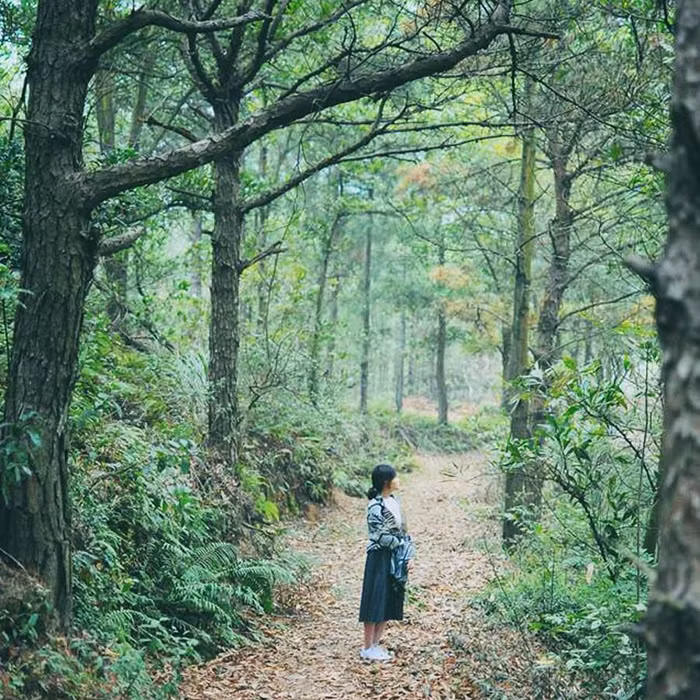 Địa điểm du lịch gần Hà Nội trong 1 ngày: Sống ảo ở My Hill