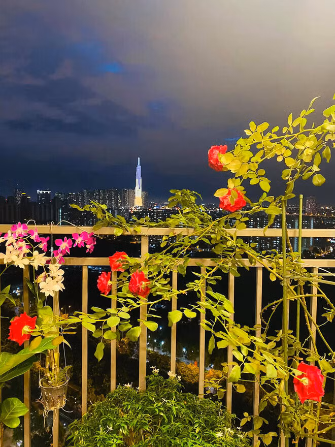 Huỳnh Hồng Loan tậu nhà mới 5.5 tỷ, ban công view cực đỉnh ảnh 5