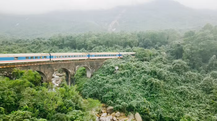 Cam-trai-ngam-duong-tau-10-1674914779.jpg?w=1200&h=0&q=100&dpr=1&fit=crop&s=3PTT0OU0XzF235d-V8eMLQ