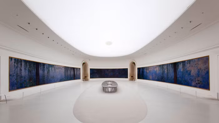 Khi trồng cam là cách thể hiện đẳng cấp quý tộc châu Âu ảnh 6