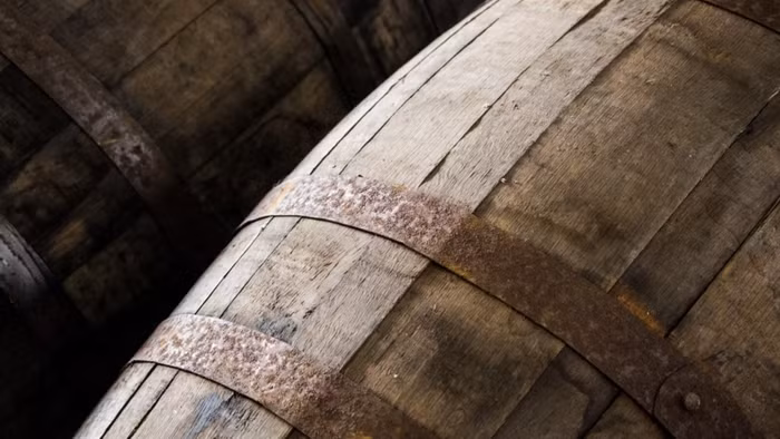 To’ak Chocolate - Loại socola đắt đỏ nhất hành tinh-10