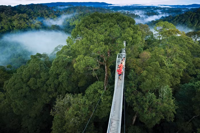 Ulu Temburong ivivu 1