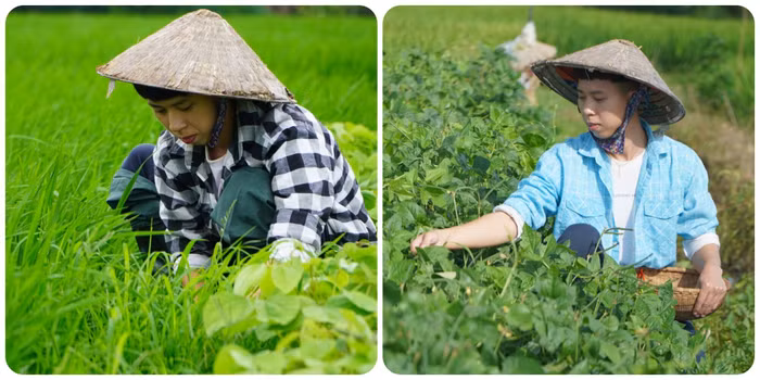 Tô Văn Lộc