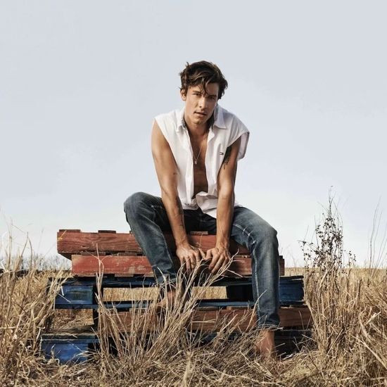 Shawn Mendes là gương mặt mới cho "phiên bản" Tommy Hilfiger bền vững hơn ảnh 1 shawn mendes tommy hilfiger