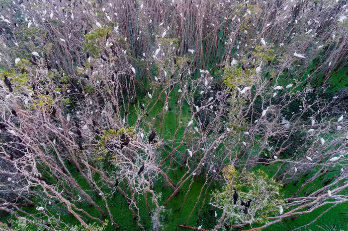 Vẻ đẹp bốn mùa ở miền sông nước Long An - 2