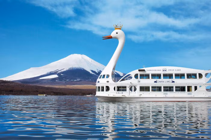 Yamanaka Swan Cruising ivivu 3